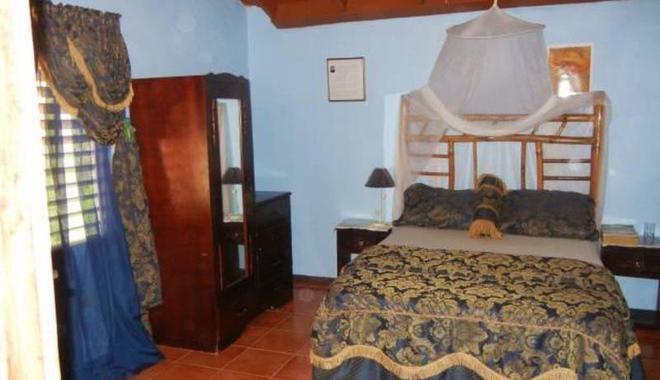 Best Party Hostel in Kingston | Party Hostel in Jamaica